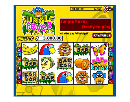 jet bingo jungle fever 5 reel online slots game